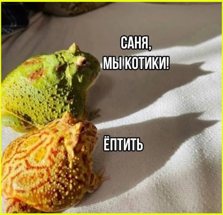 Я? Замуж? Да вы что, у меня даже цветы дохнут! юмор, девушки, замуж, отношения, приколы, картинки