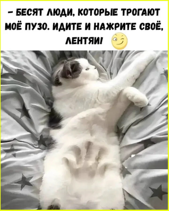 Я? Замуж? Да вы что, у меня даже цветы дохнут! юмор, девушки, замуж, отношения, приколы, картинки