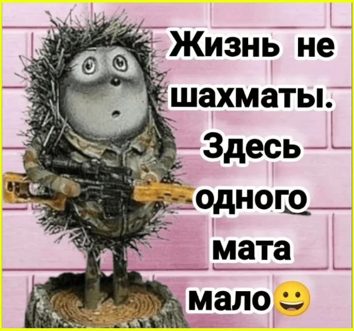 Я? Замуж? Да вы что, у меня даже цветы дохнут! юмор, девушки, замуж, отношения, приколы, картинки
