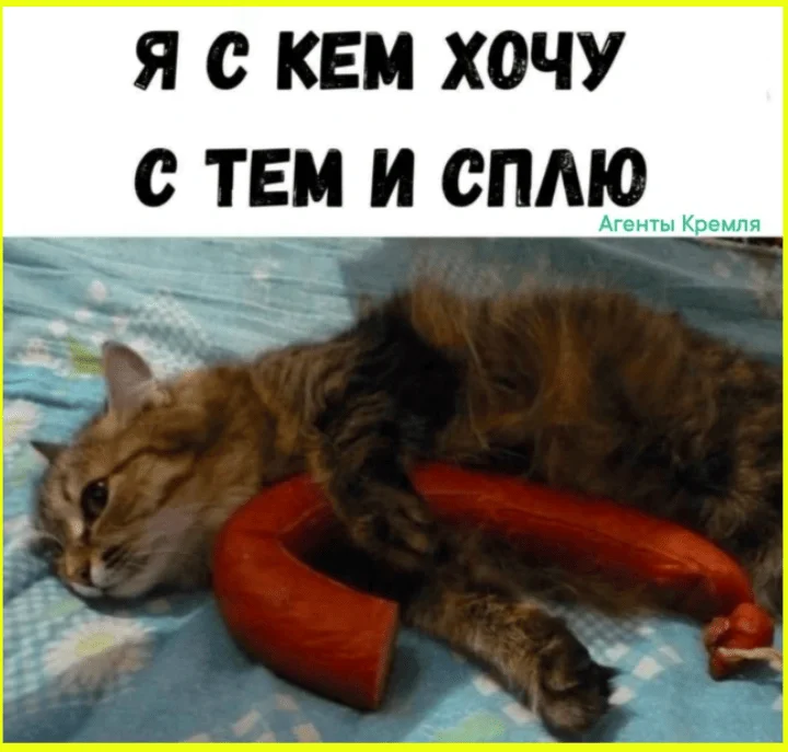 Я? Замуж? Да вы что, у меня даже цветы дохнут! юмор, девушки, замуж, отношения, приколы, картинки