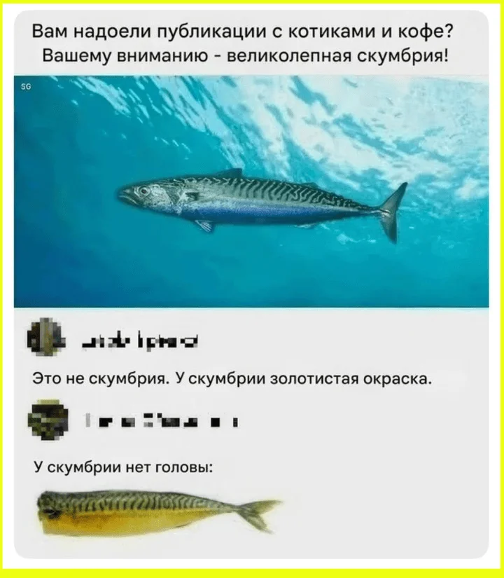 Я? Замуж? Да вы что, у меня даже цветы дохнут! юмор, девушки, замуж, отношения, приколы, картинки