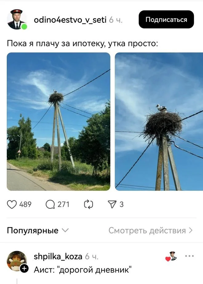 Подборка угара: 30 мемов, которые порвут тебя Подборка угара: 30 мемов, которые порвут тебя юмор, приколы, мемы, картинки, соцсети