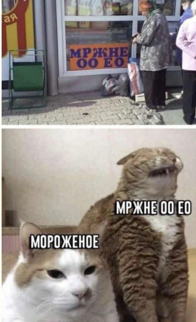 Дзен и искусство скроллинга: мудрые истины Дзен и искусство скроллинга: мудрые истины приколы, картинки, мудрость, жизнь, юмор