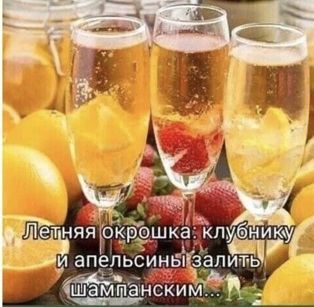 Дзен и искусство скроллинга: мудрые истины Дзен и искусство скроллинга: мудрые истины приколы, картинки, мудрость, жизнь, юмор