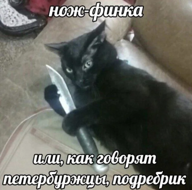 Дзен и искусство скроллинга: мудрые истины Дзен и искусство скроллинга: мудрые истины приколы, картинки, мудрость, жизнь, юмор