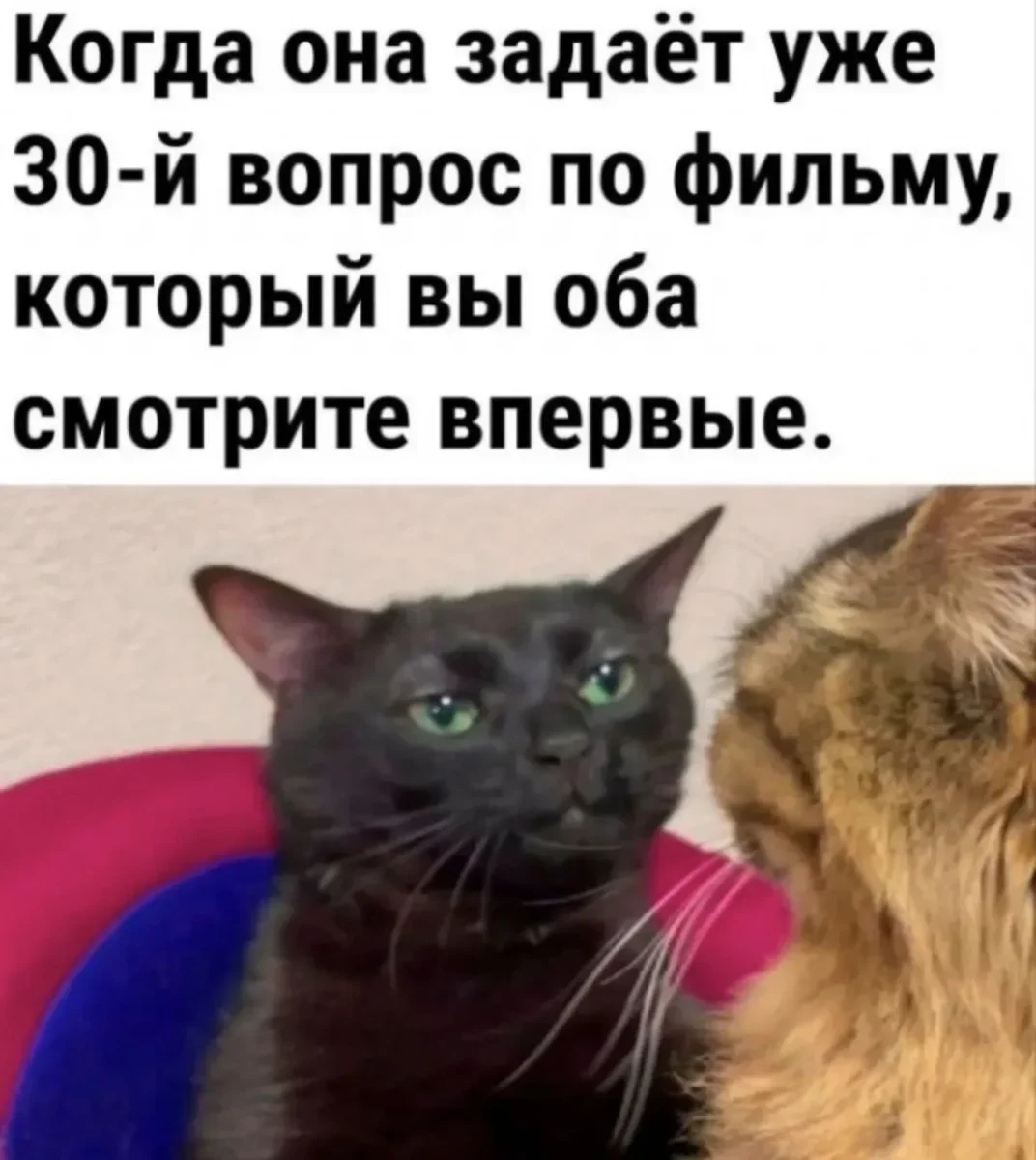Субботний юмор: мемы, которые бьют прямо в цель юмор, мемы, приколы, картинки, суббота