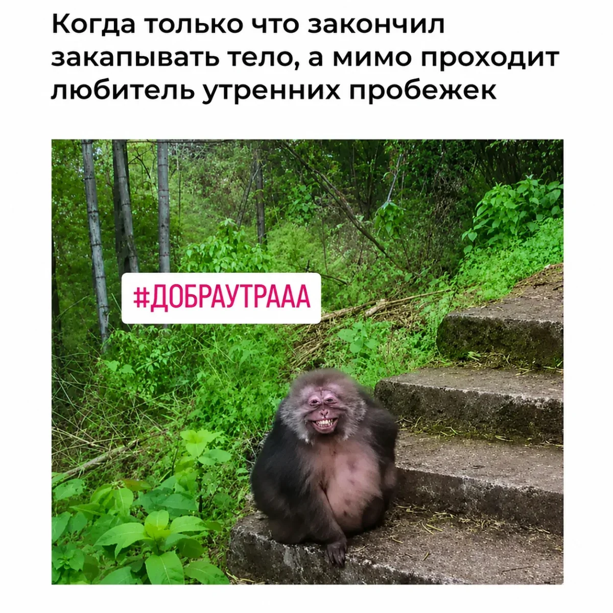 Субботний юмор: мемы, которые бьют прямо в цель юмор, мемы, приколы, картинки, суббота