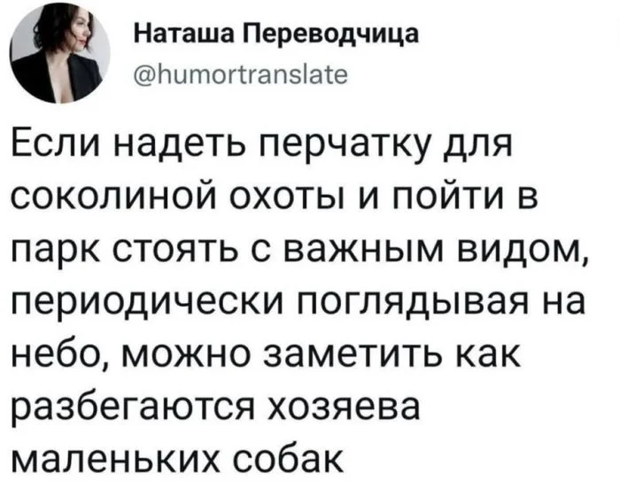 Подборка черного юмора: смех сквозь слезы и пошлость черный юмор, приколы, подборка, смех
