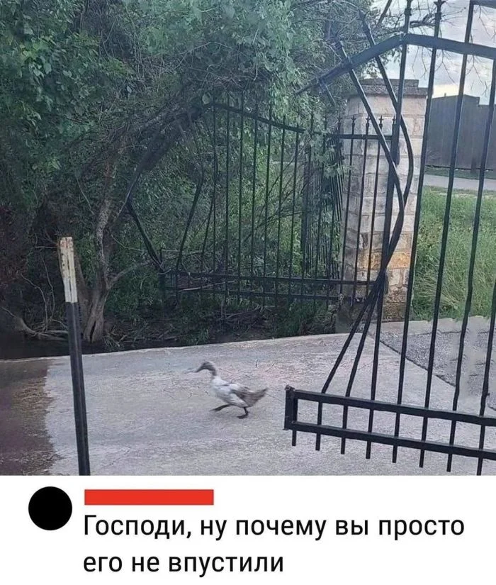 Подборка черного юмора: смех сквозь слезы и пошлость черный юмор, приколы, подборка, смех