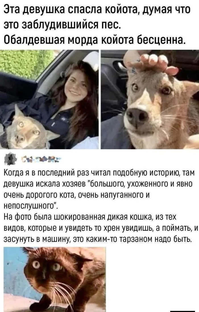 Подборка черного юмора: смех сквозь слезы и пошлость черный юмор, приколы, подборка, смех