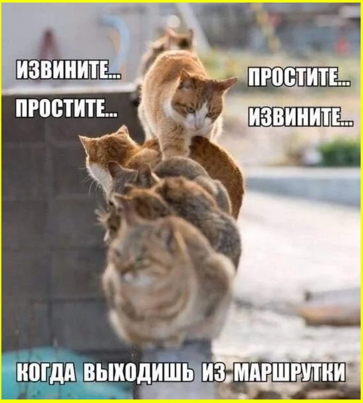Почему фраза «я главный» — верный признак холостяка
