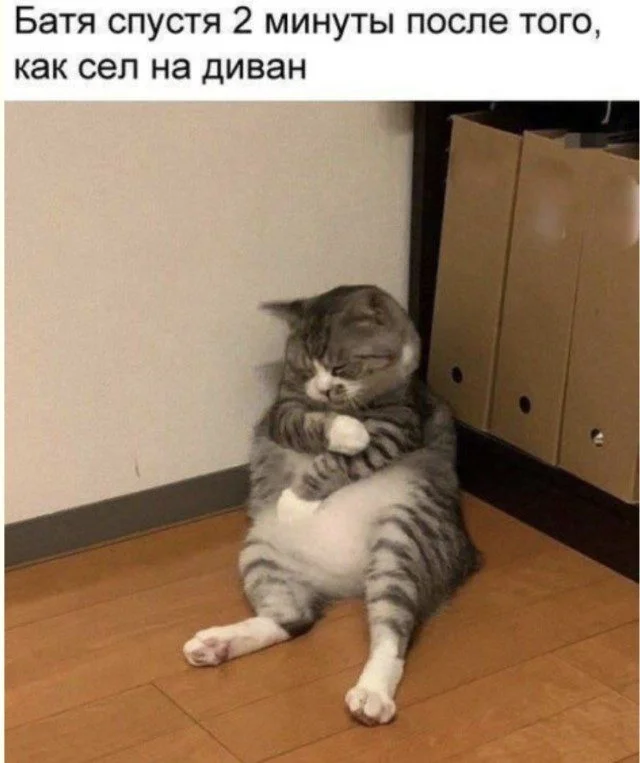 Улыбнись, не будь букой