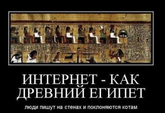 Глаза разбегаются: подборка контрастного контента Глаза разбегаются: подборка контрастного контента подборка, картинки, приколы, случайное, разное