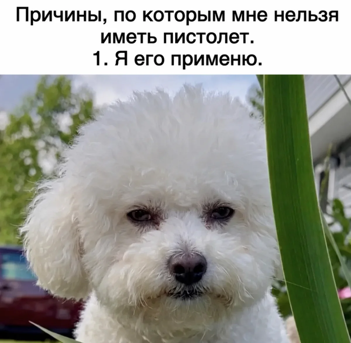 Приколы недели: 30 мемов для отличного настроения Приколы недели: 30 мемов для отличного настроения мемы, приколы, юмор, картинки, подборка
