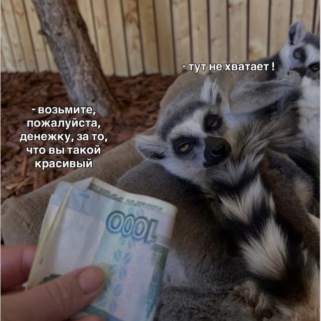 Смехотерапия без риска: листай и улыбайся приколы, юмор, мемы, картинки, позитив
