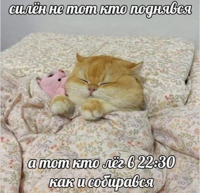 Смехотерапия без риска: листай и улыбайся