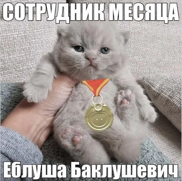 Смехотерапия без риска: листай и улыбайся приколы, юмор, мемы, картинки, позитив