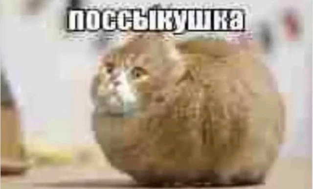 Смехотерапия без риска: листай и улыбайся приколы, юмор, мемы, картинки, позитив