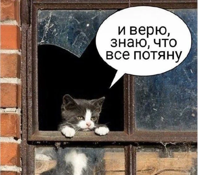 Смехотерапия без риска: листай и улыбайся приколы, юмор, мемы, картинки, позитив