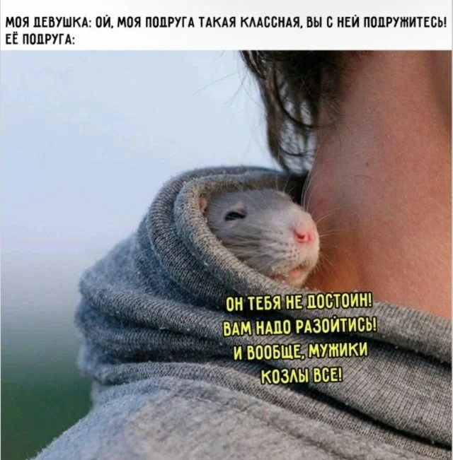 Смехотерапия без риска: листай и улыбайся приколы, юмор, мемы, картинки, позитив