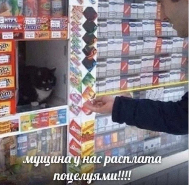 Смехотерапия без риска: листай и улыбайся приколы, юмор, мемы, картинки, позитив
