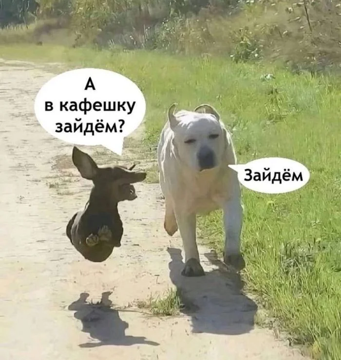 Заряд бодрости: топ ржачных мемов этой недели