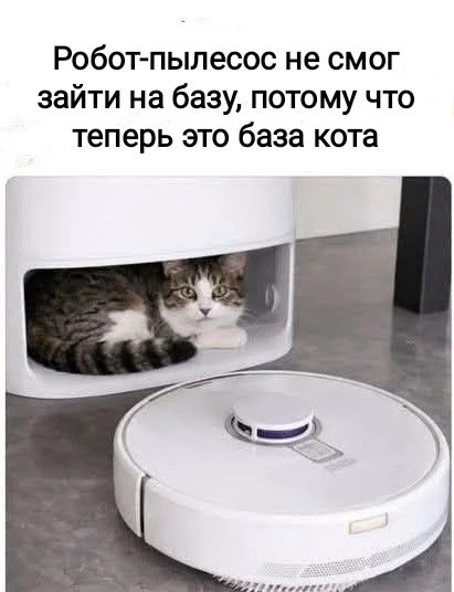 Заряд бодрости: топ ржачных мемов этой недели мемы, приколы, юмор, подборка, позитив