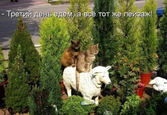 Заряд бодрости: топ ржачных мемов этой недели Заряд бодрости: топ ржачных мемов этой недели мемы, приколы, юмор, подборка, позитив