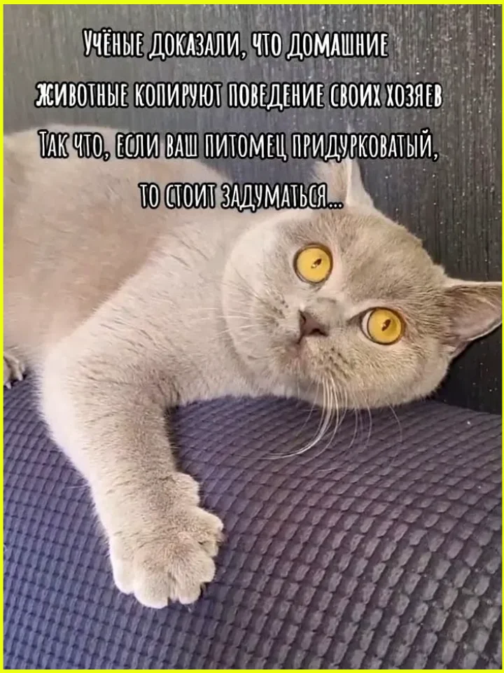 Когда джинсы порвались, но не там, где нужно: 8 фото приколы, мода, неудачи, джинсы, фото