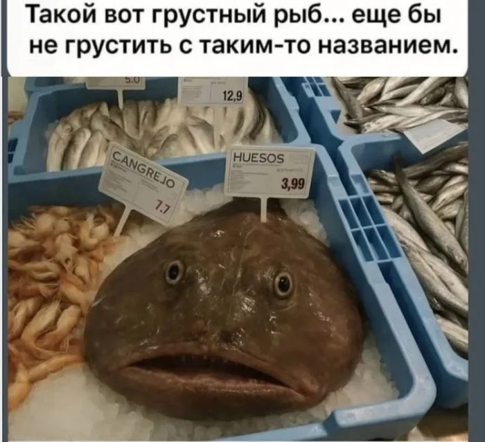 Угарная подборка: мемы, которые разорвут пукан мемы, приколы, юмор, картинки, смех