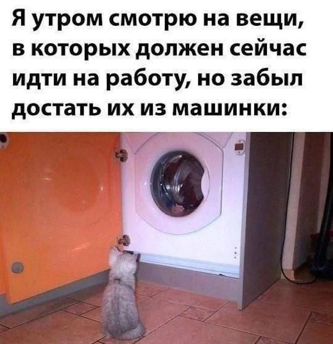 Угарная подборка: мемы, которые разорвут пукан мемы, приколы, юмор, картинки, смех
