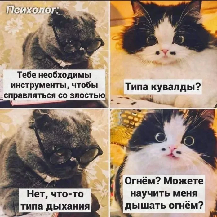Угарная подборка: мемы, которые разорвут пукан мемы, приколы, юмор, картинки, смех