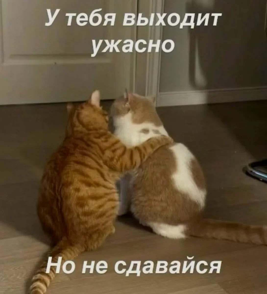 Сборник мемов для всех, кто устал на работе Сборник мемов для всех, кто устал на работе мемы, работа, офис, юмор, приколы