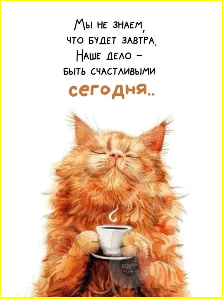 Женщина создана сделать мужчину счастливым! Смешные демотиваторы юмор, приколы, отношения, демотиваторы, подборка