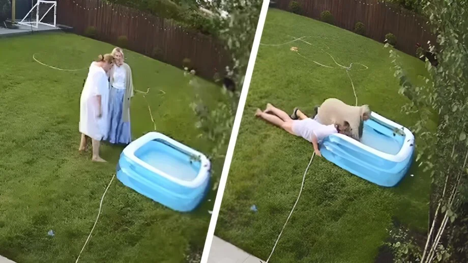 Слить воду из бассейна оказалось целым квестом: видео приколы, бассейн, смешное видео, неудачи