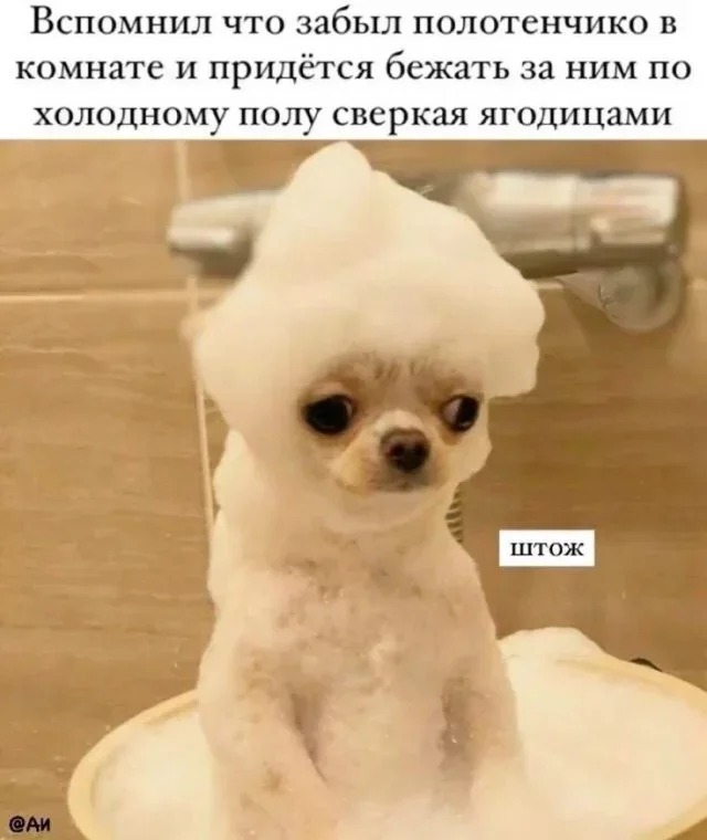 Юмор на сегодня: точные мемы и жизненные ситуации мемы, приколы, юмор, картинки, подборка