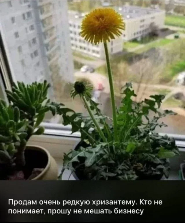 Юмор на сегодня: точные мемы и жизненные ситуации мемы, приколы, юмор, картинки, подборка