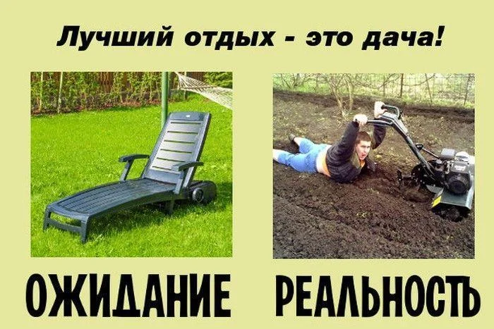 Вторая партия дачного юмора: мемы и картинки для огородников Вторая партия дачного юмора: мемы и картинки для огородников мемы, дача, огород, юмор, приколы, картинки, дачники