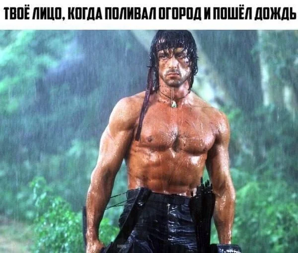 Вторая партия дачного юмора: мемы и картинки для огородников Вторая партия дачного юмора: мемы и картинки для огородников мемы, дача, огород, юмор, приколы, картинки, дачники
