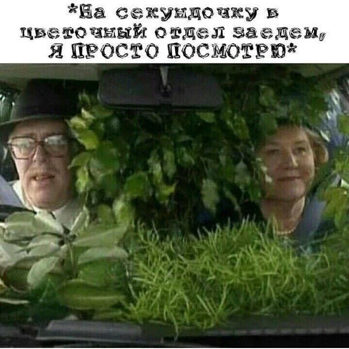 Вторая партия дачного юмора: мемы и картинки для огородников Вторая партия дачного юмора: мемы и картинки для огородников мемы, дача, огород, юмор, приколы, картинки, дачники