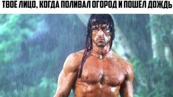 Вторая партия дачного юмора: мемы и картинки для огородников