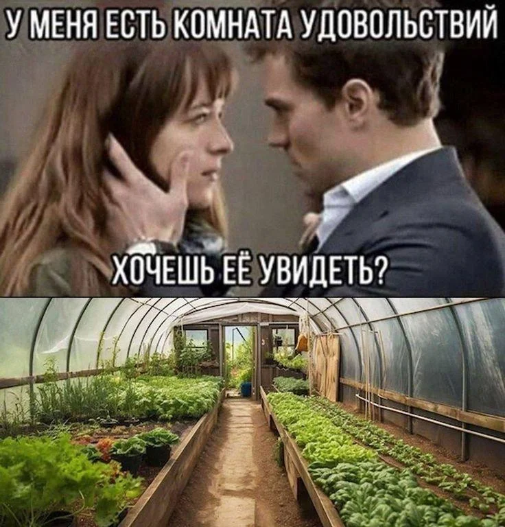 Вторая партия дачного юмора: мемы и картинки для огородников Вторая партия дачного юмора: мемы и картинки для огородников мемы, дача, огород, юмор, приколы, картинки, дачники