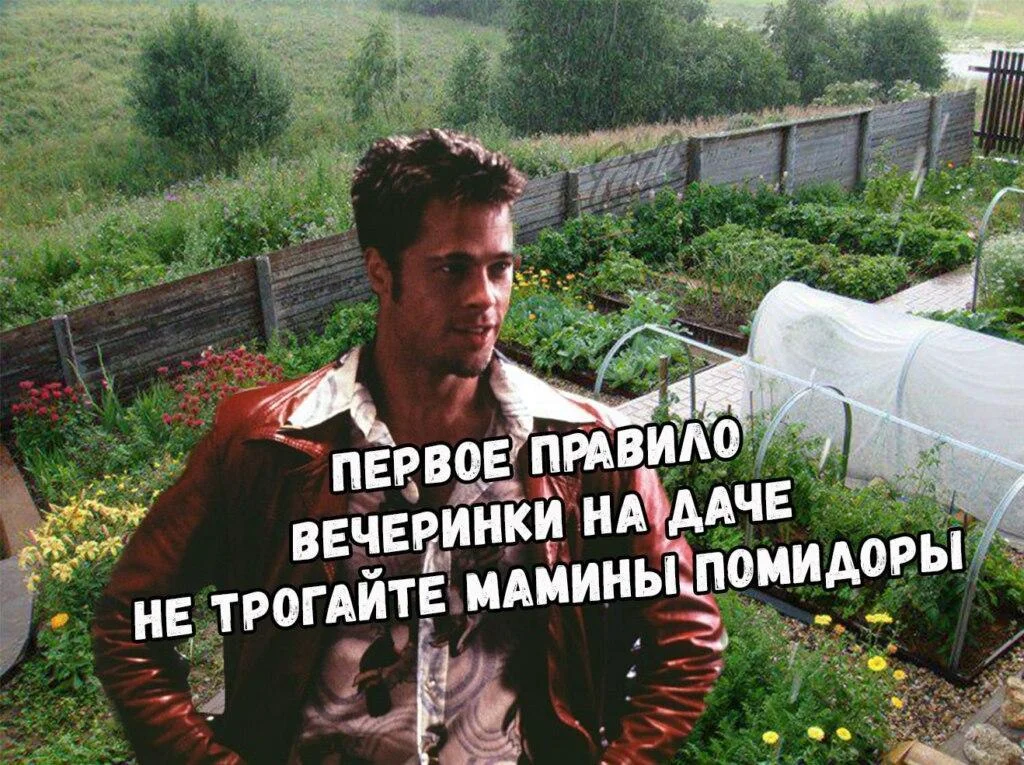 Вторая партия дачного юмора: мемы и картинки для огородников Вторая партия дачного юмора: мемы и картинки для огородников мемы, дача, огород, юмор, приколы, картинки, дачники