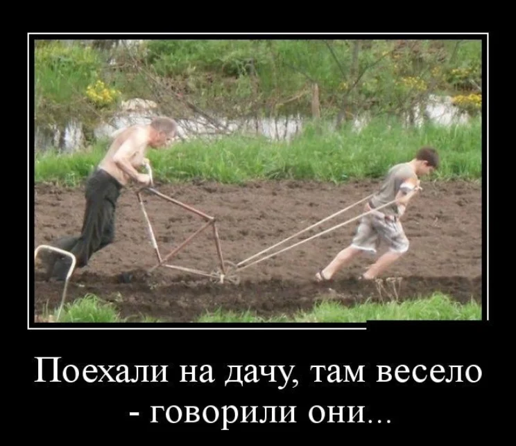 Вторая партия дачного юмора: мемы и картинки для огородников Вторая партия дачного юмора: мемы и картинки для огородников мемы, дача, огород, юмор, приколы, картинки, дачники