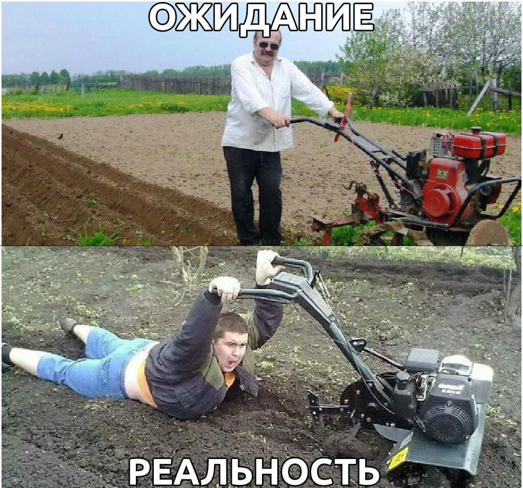 Вторая партия дачного юмора: мемы и картинки для огородников Вторая партия дачного юмора: мемы и картинки для огородников мемы, дача, огород, юмор, приколы, картинки, дачники
