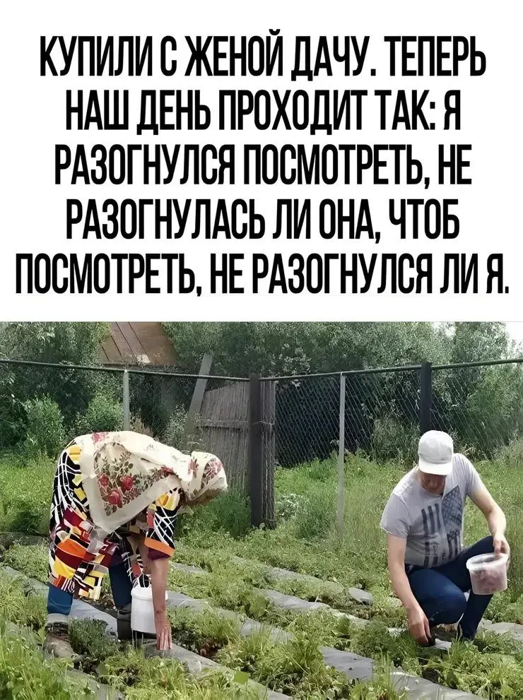 Вторая партия дачного юмора: мемы и картинки для огородников Вторая партия дачного юмора: мемы и картинки для огородников мемы, дача, огород, юмор, приколы, картинки, дачники