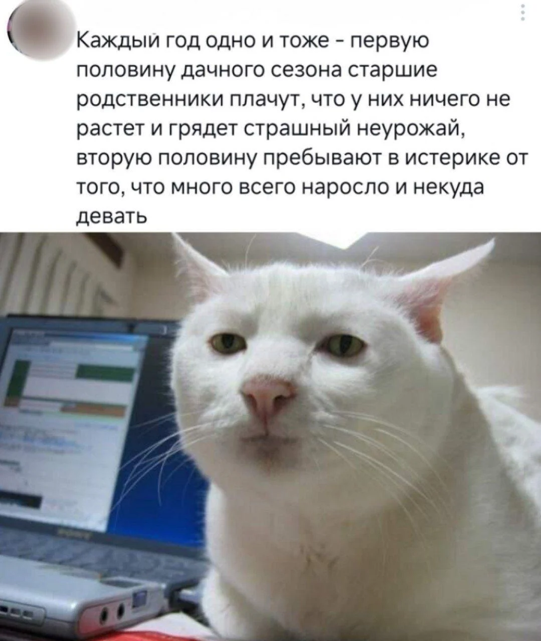 Вторая партия дачного юмора: мемы и картинки для огородников Вторая партия дачного юмора: мемы и картинки для огородников мемы, дача, огород, юмор, приколы, картинки, дачники