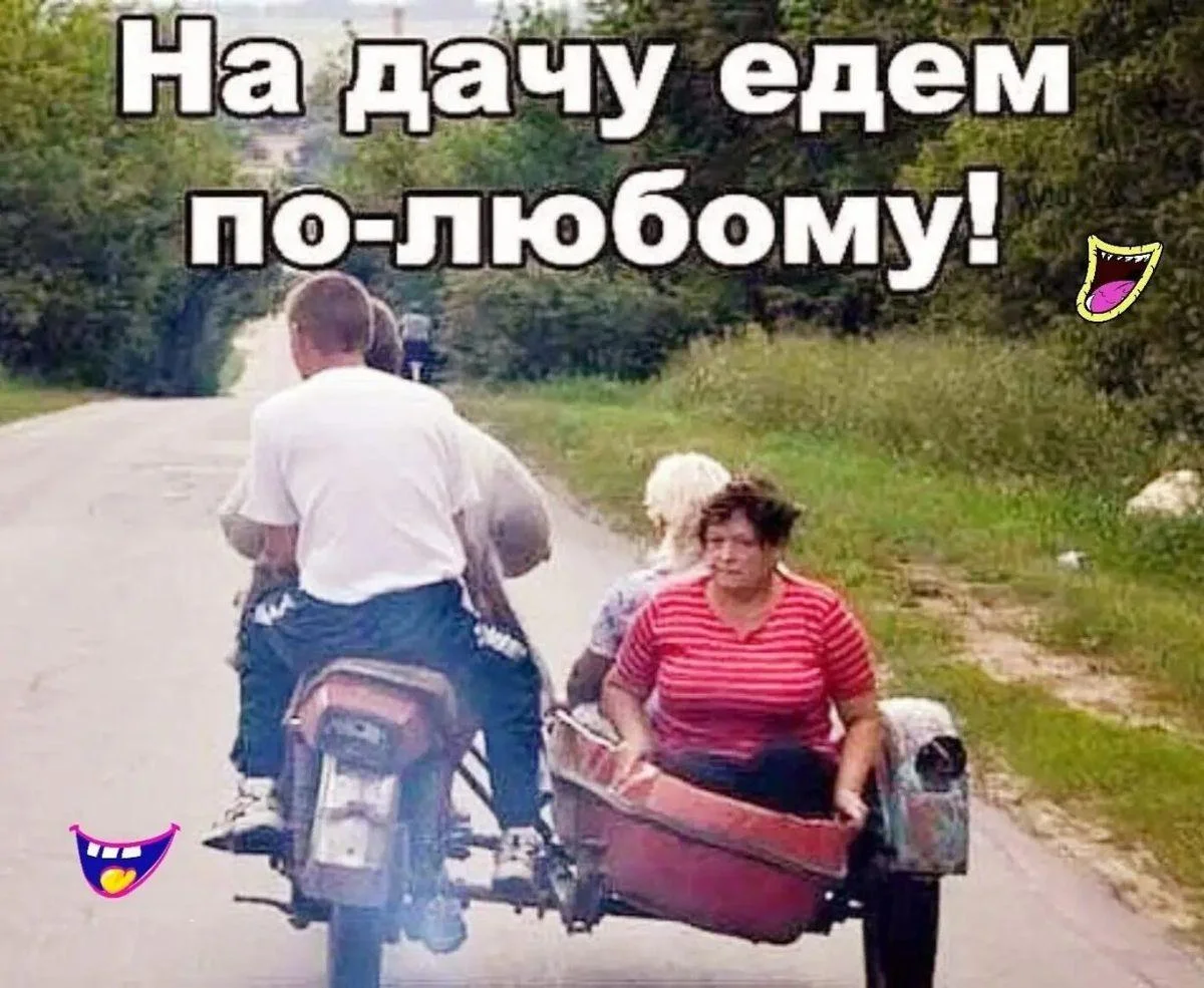 Вторая партия дачного юмора: мемы и картинки для огородников Вторая партия дачного юмора: мемы и картинки для огородников мемы, дача, огород, юмор, приколы, картинки, дачники