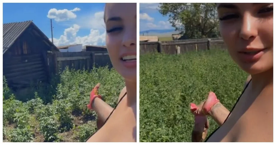Не только овощи: что попало в кадр на огороде