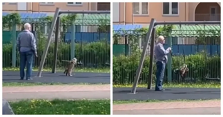 Петербуржец придумал для кота аттракцион на качелях